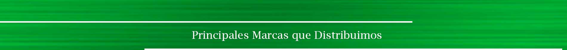 Principales marcas que distribuimos